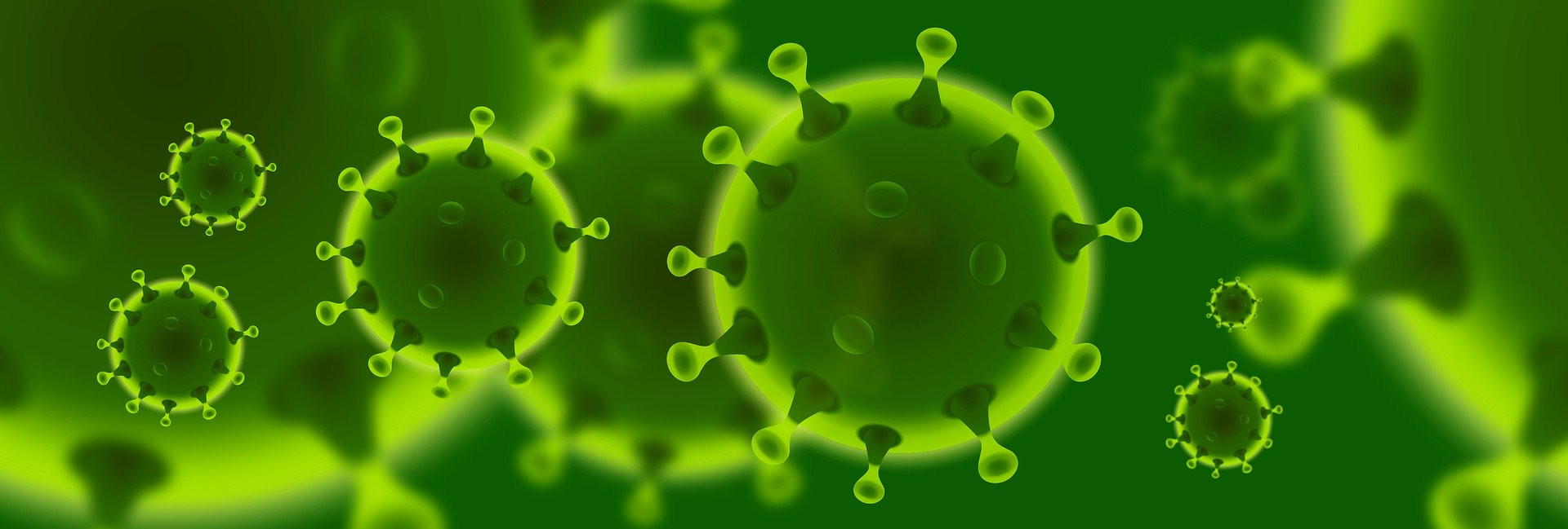 Corona-Viren in grün
